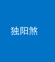 定安阴阳风水化煞四十二——独阳煞